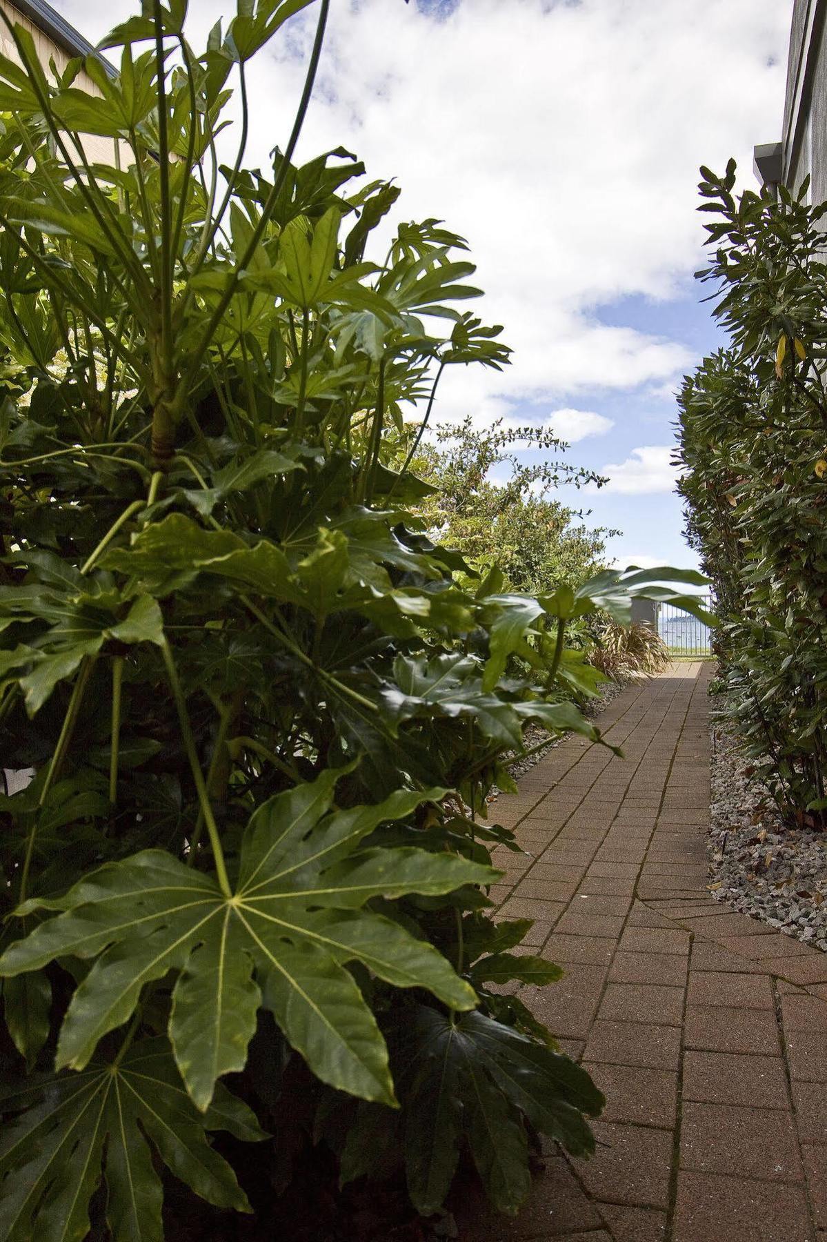 Clearwater Motor Lodge Taupo Luaran gambar